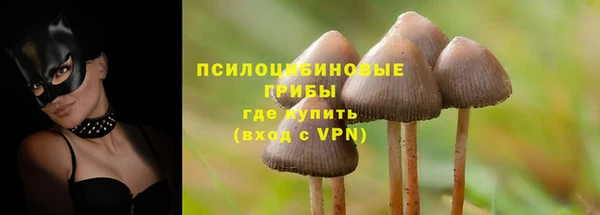 а пвп мука Богданович