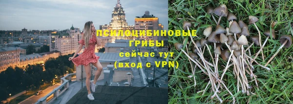 мяу мяу мука Вуктыл
