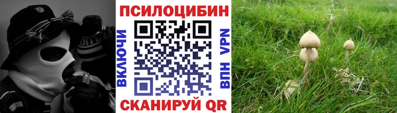 Галлюциногенные грибы мухоморы  продажа наркотиков  Бодайбо 